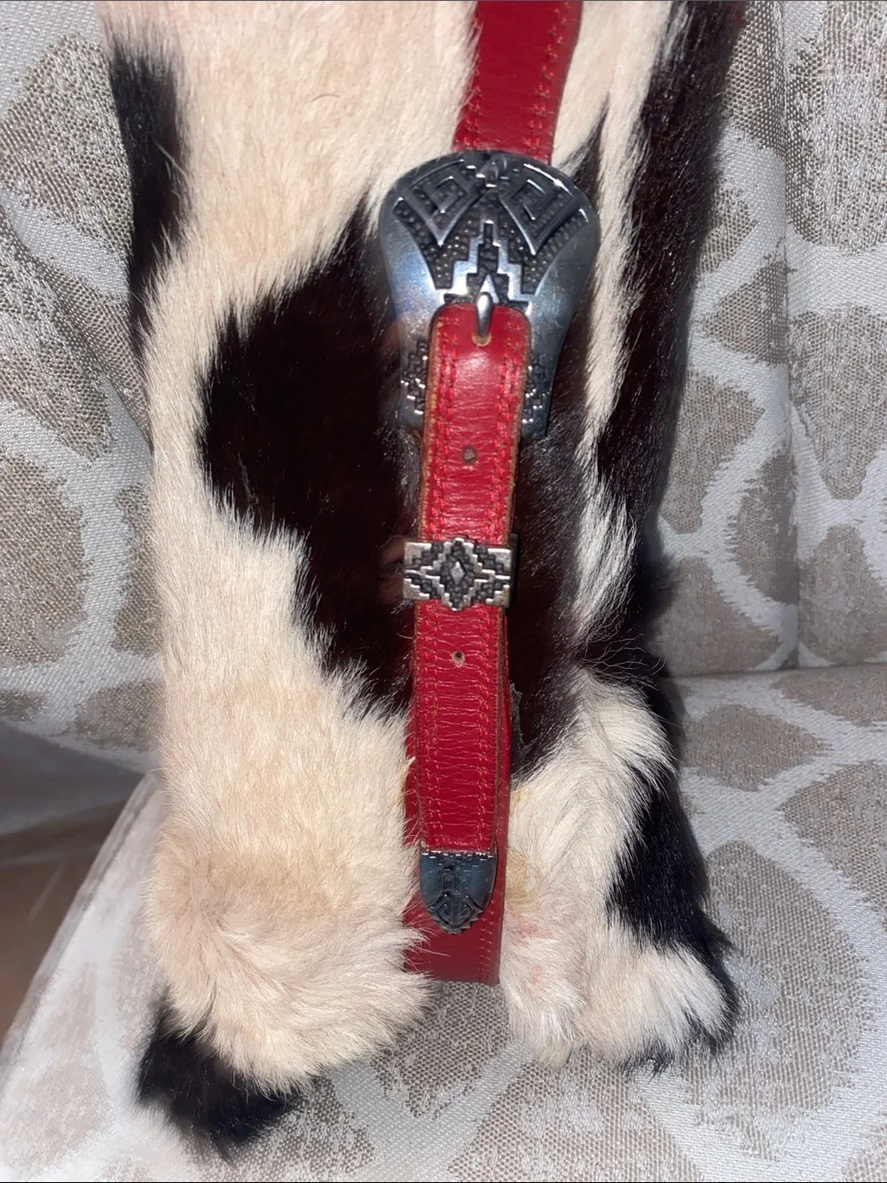 Red Leather & Cowhide Fur Decorative Throw Pillow with Red Mohair Trim